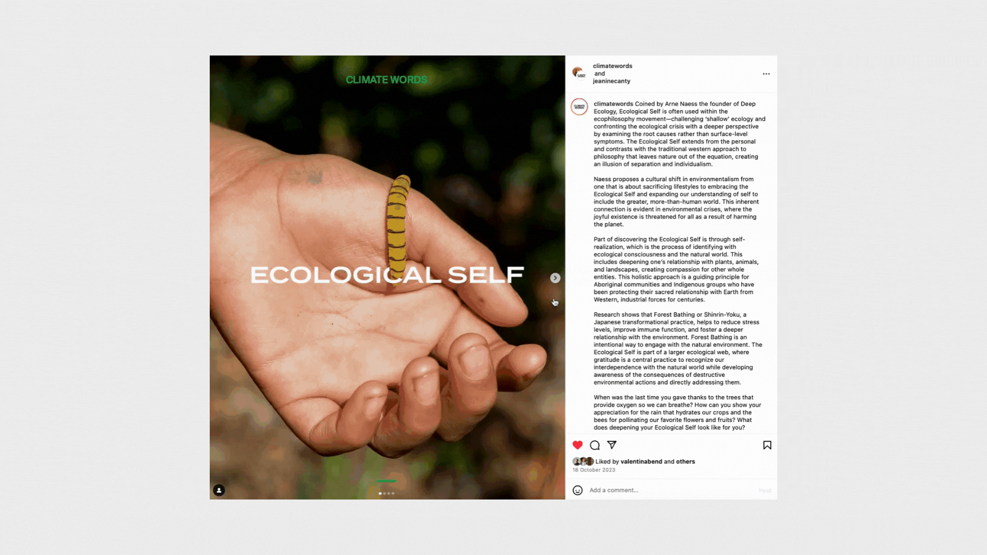 Ecological Self